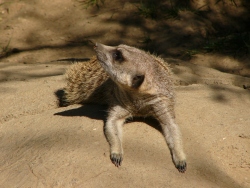 p1210300