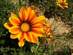 p1210315