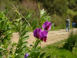 p1210320