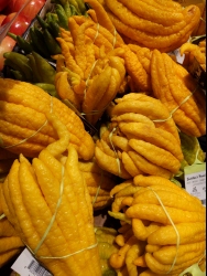pxl20210327011822844
