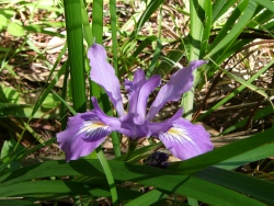 p1100403