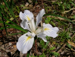 p1100404