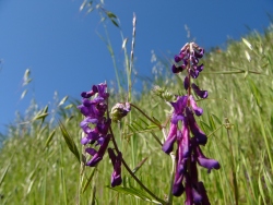p1100438