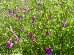 p1100439