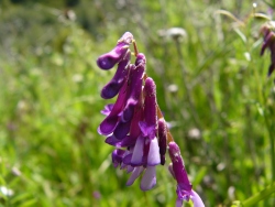 p1100440