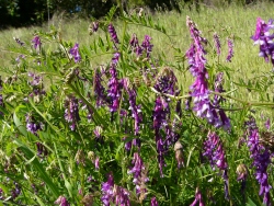 p1100443