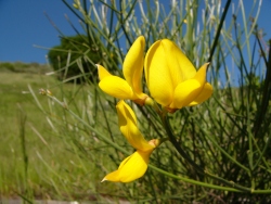 p1100451