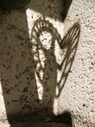 p1210741r