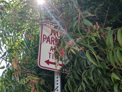 pxl20240831224607096