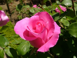 p1100820