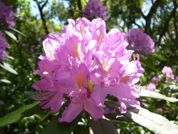 p1100838