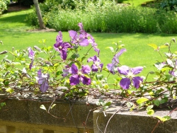 p1100843