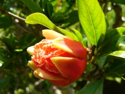 p1100845