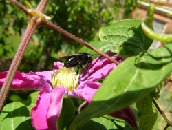 p1100856