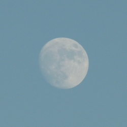p2320088c