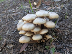 pxl20251126221946575