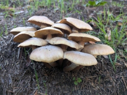 pxl20251126222018468