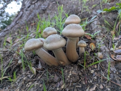 pxl20251126222033220