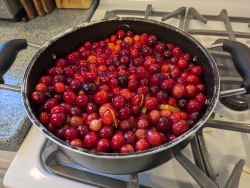 pxl20251126223309722