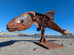 pxl20251027215816414