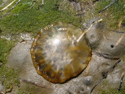 p1190236