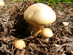 p1170368