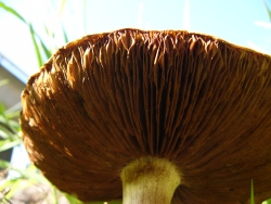 p1170377