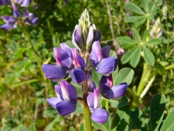 p1170391