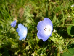 p1170402