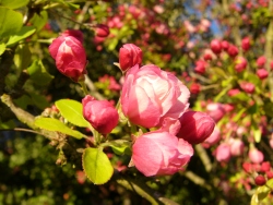p1170404