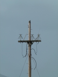 p2000932r