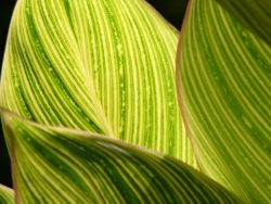 p1050839