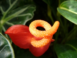 p1050841