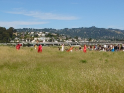 p1100879