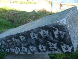p1100944
