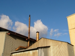 p1150477