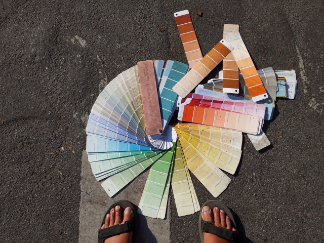 photo