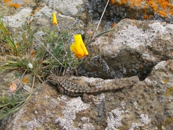 p1180021