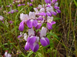 p1180026