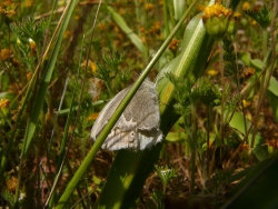 p1180027