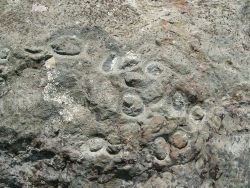 p1180036