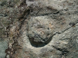 p1180037
