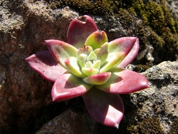 p1180038