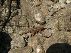 p1180039