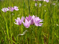p1180045