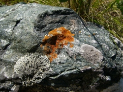 p1180048
