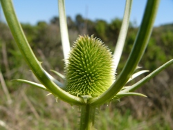 p1180049