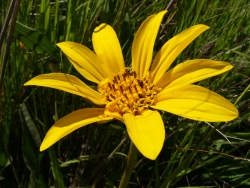 p1180050