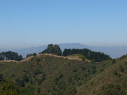 previous