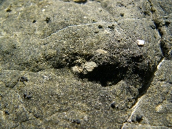 p1190429